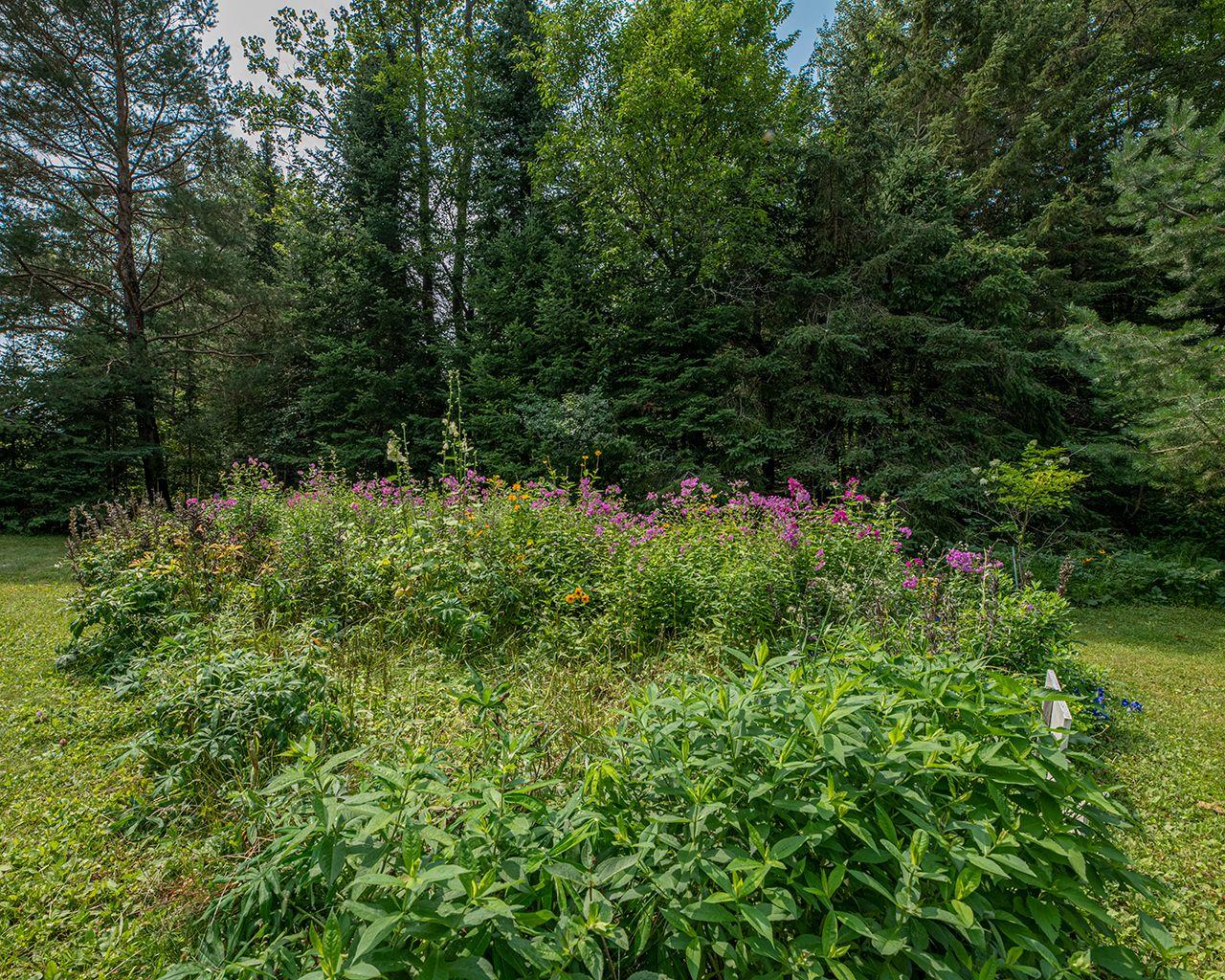 N11971 Hwy 17 Rhinelander Wi 54501 Rhinelander, WI 54501 - Photo 27 of 37 Gallery Image 27