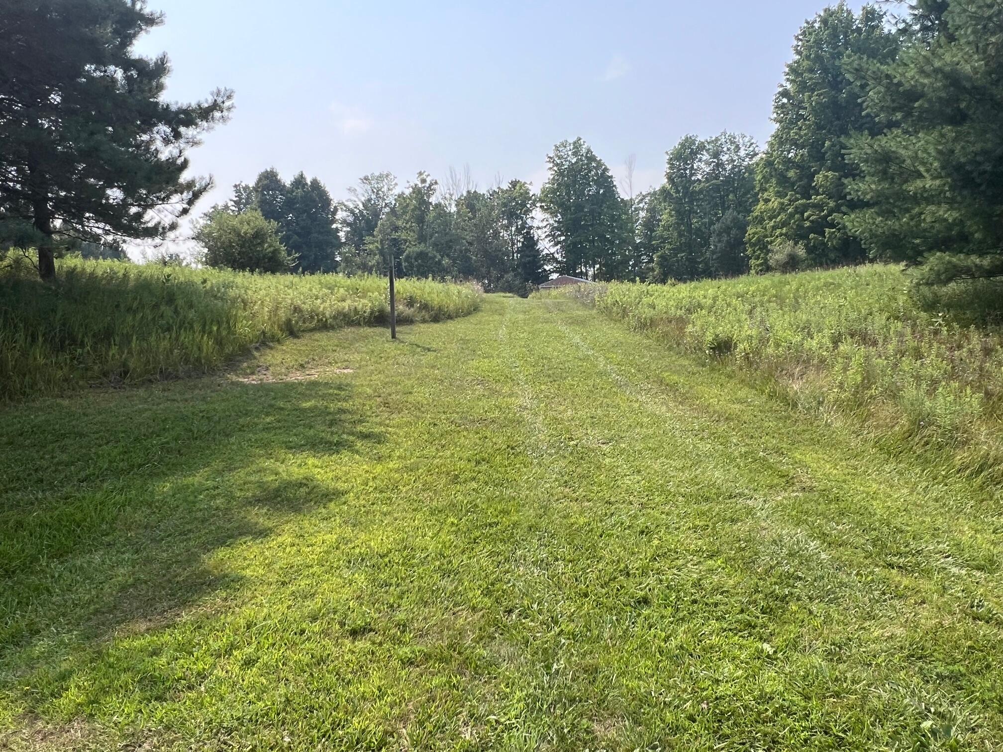 V/l South Dow Road West Branch, MI 48661 - Photo 10 of 10 image8