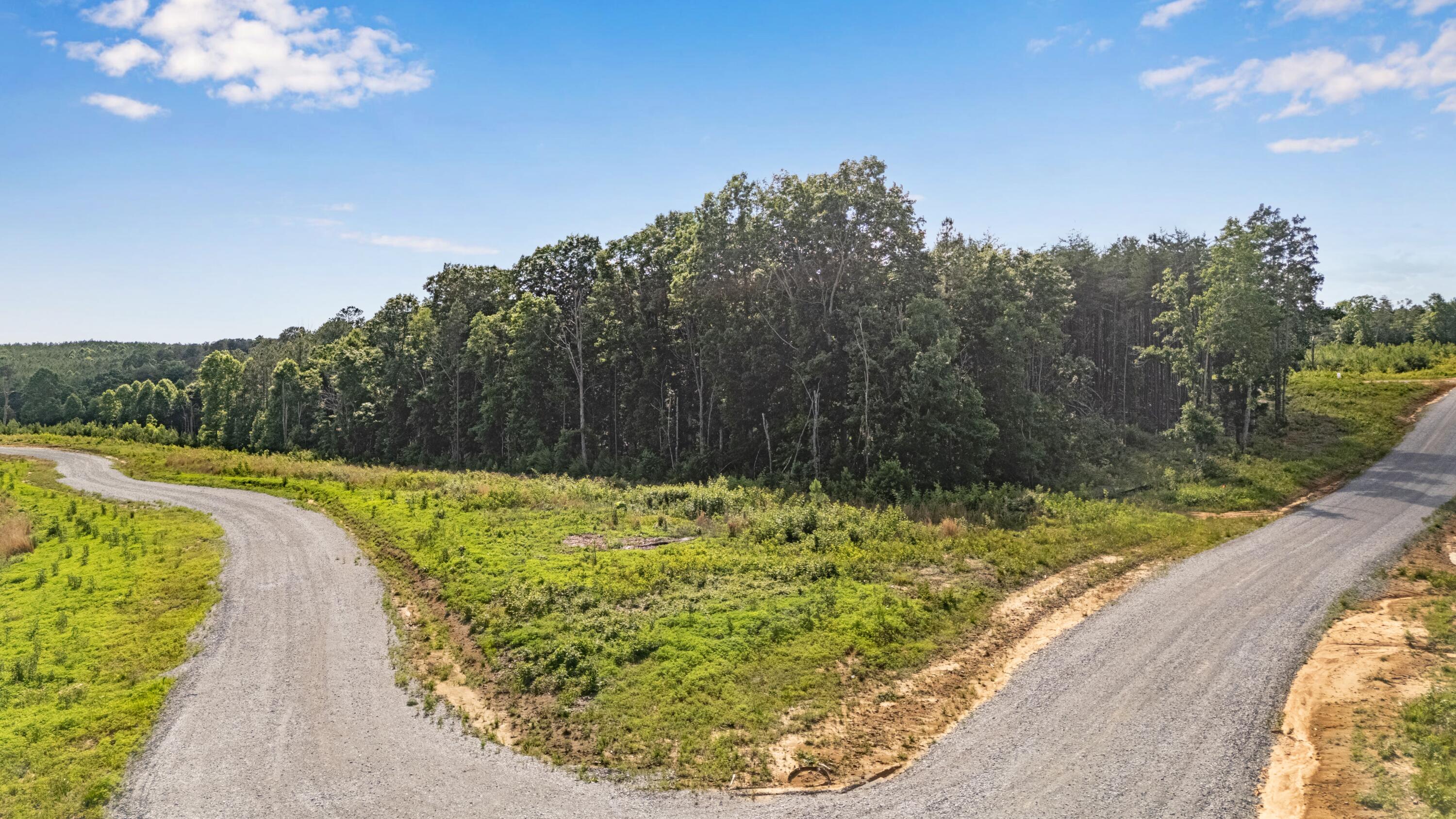 0 Saddleback Road, Unit 48 Dunlap, TN 37327 - Photo 11 of 21 DJI_20260602172054_0208_D-HDR
