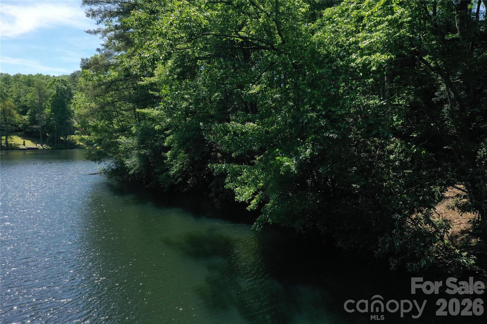 0 Deer Park Lake Road Spruce Pine, NC 28777 - Photo 6 of 24 a view of a lake from a yard