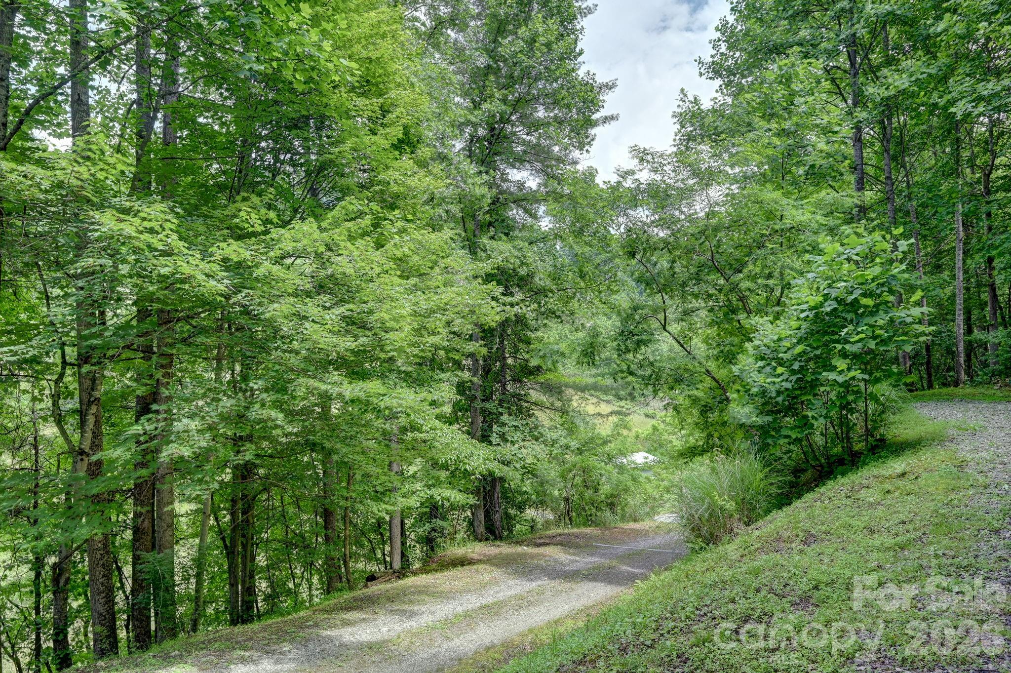 560 Morgan Branch Road Marshall, NC 28753 - Photo 29 of 30