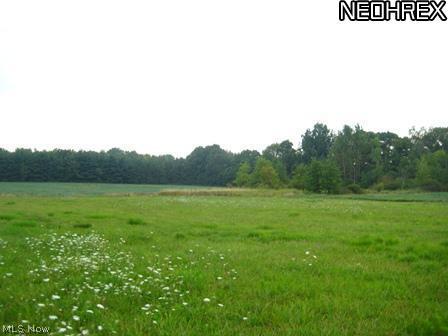 734 Akron Road Wadsworth, OH 44281 - Photo 13 of 20 Gallery Image 13