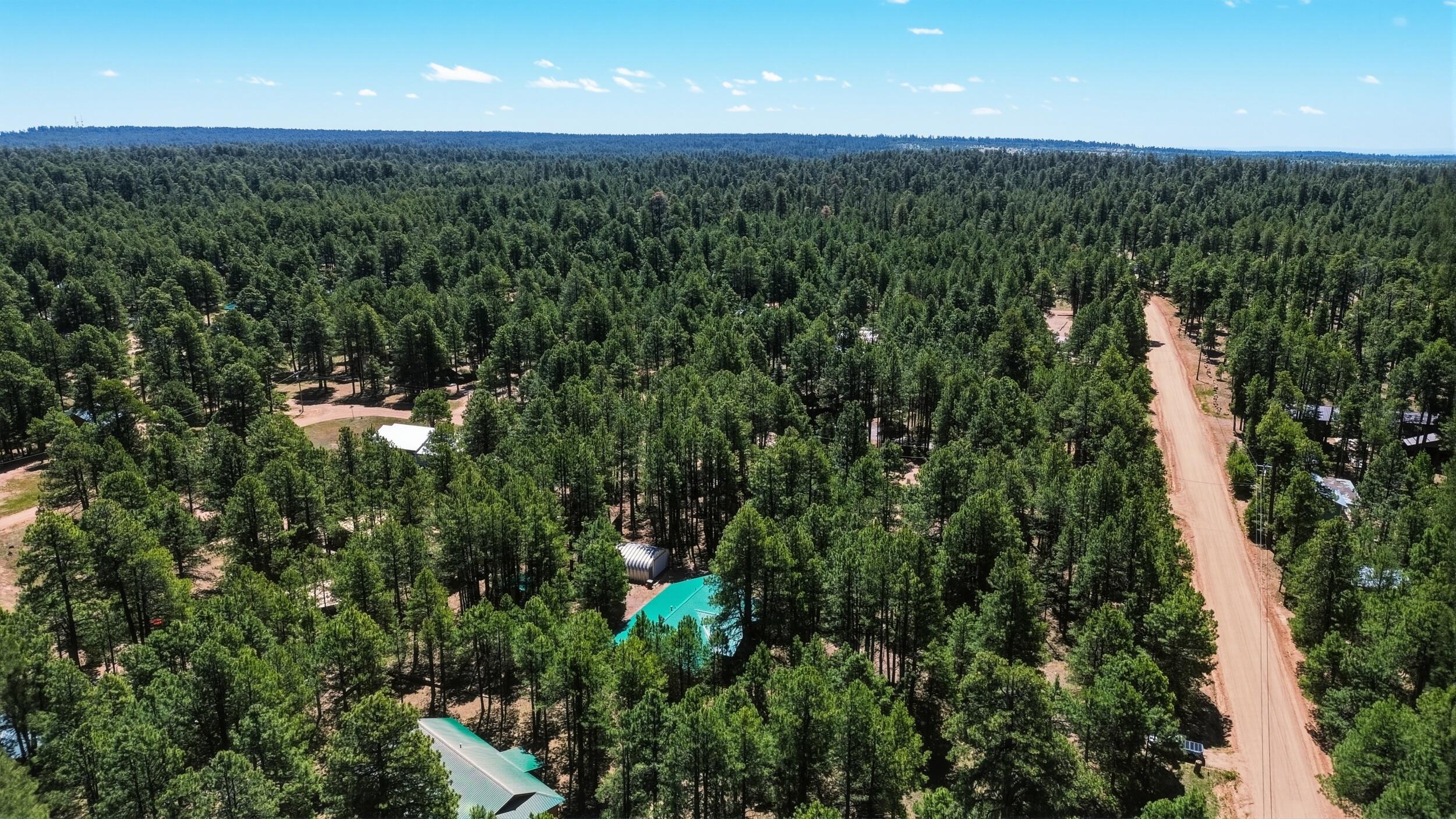 1233 Merzville Road Forest Lakes, AZ 85931 - Photo 36 of 39