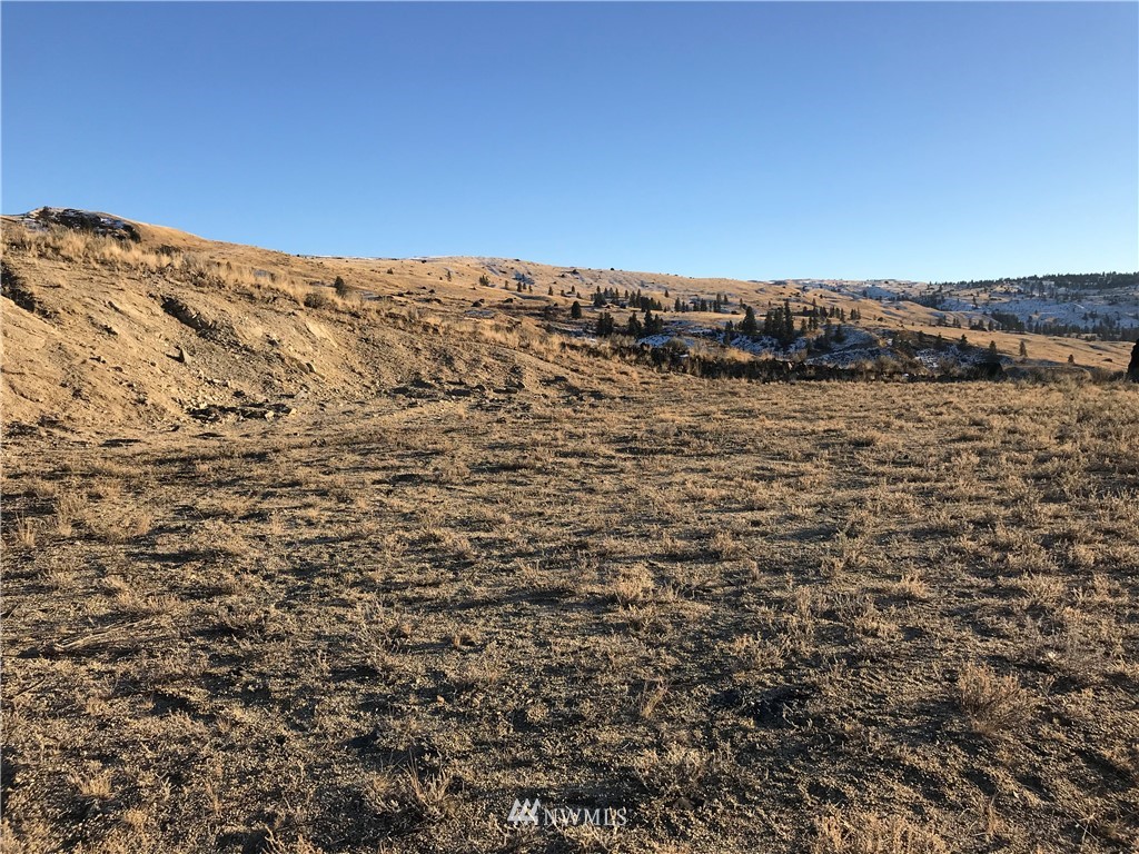 -parcels 20 Road Northwest Mansfield, WA 98830 - Photo 4 of 7
