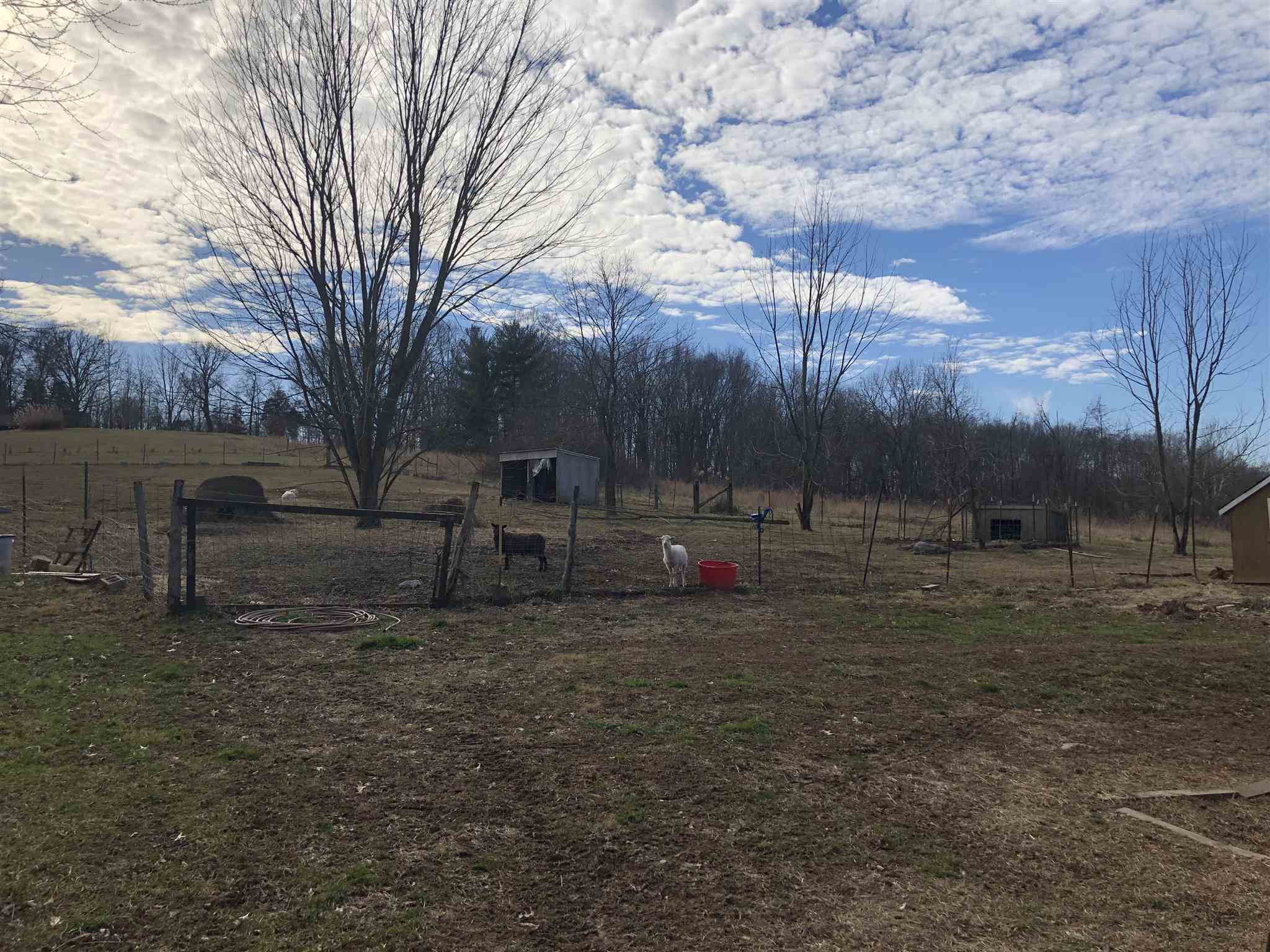 25 Steve Earl Road Springville, IN 47462 - Photo 8 of 17