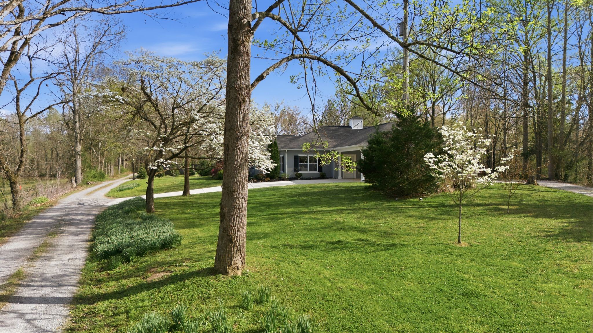 330 Burton Ridge Road Silver Point, TN 38582 - Photo 51 of 57