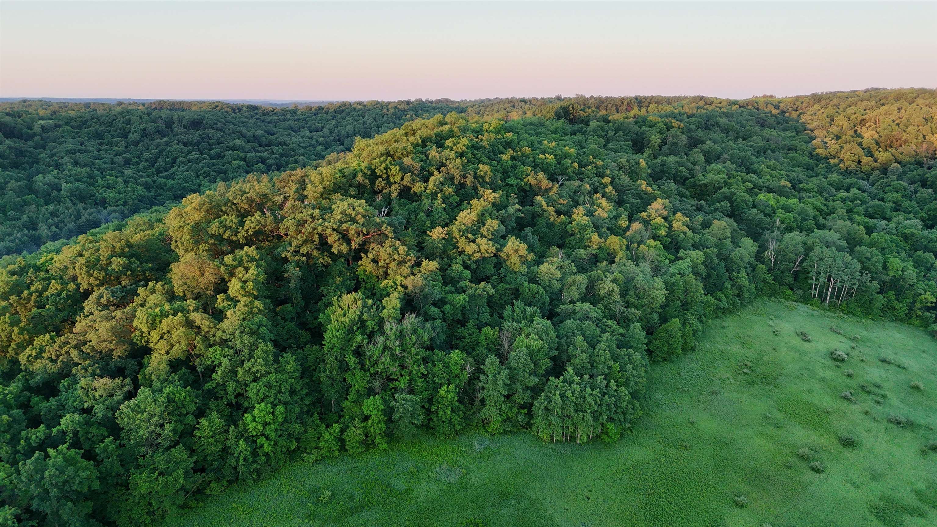 Tbd Wheat Hollow Road Cazenovia, WI 53924 - Photo 7 of 42