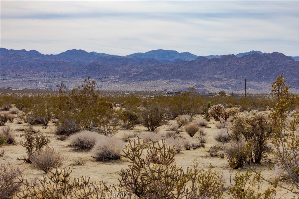0 Appian Way Joshua Tree, CA 92252 - Photo 11 of 35