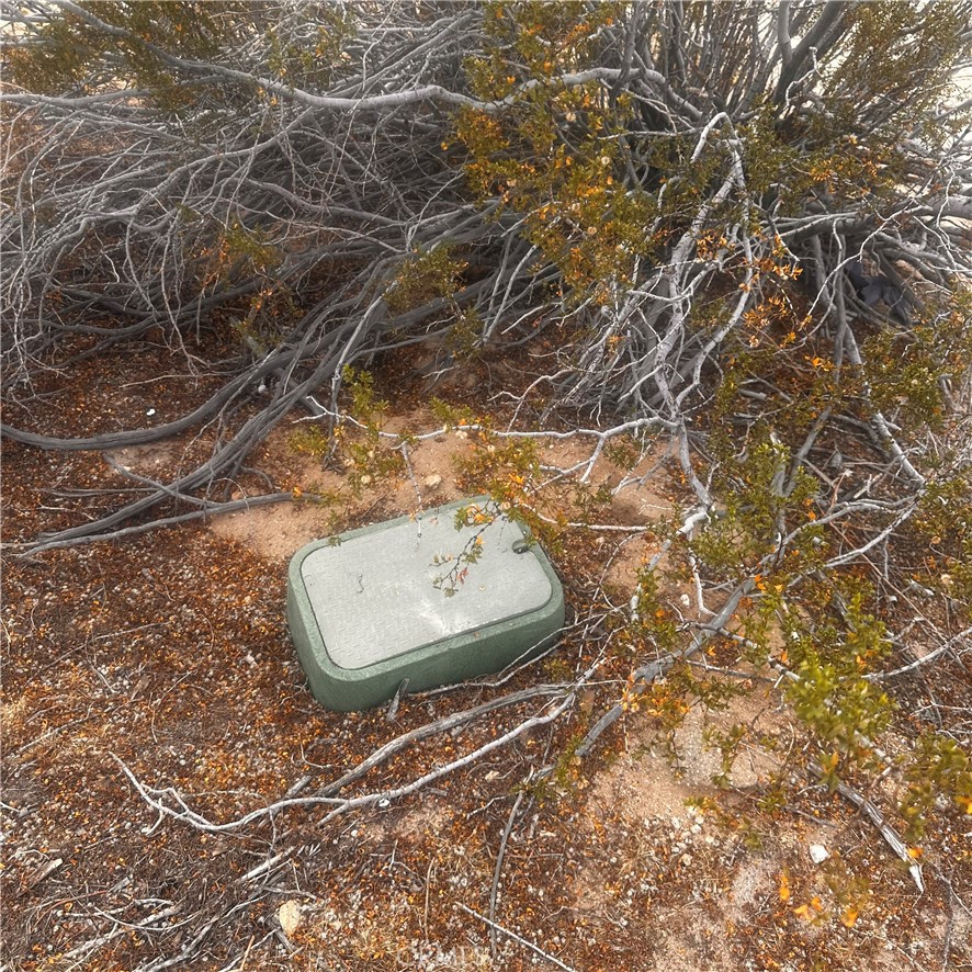 0 Appian Way Joshua Tree, CA 92252 - Photo 35 of 35