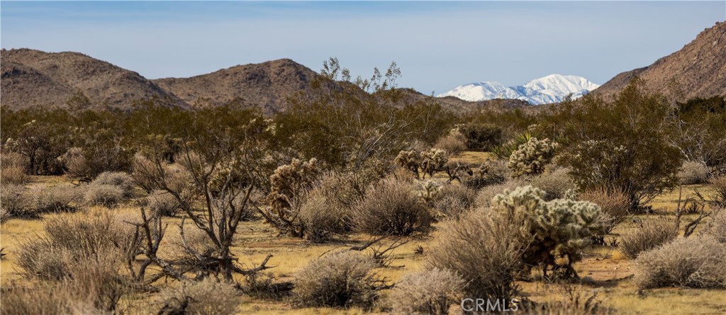 0 Appian Way Joshua Tree, CA 92252 - Photo 6 of 35