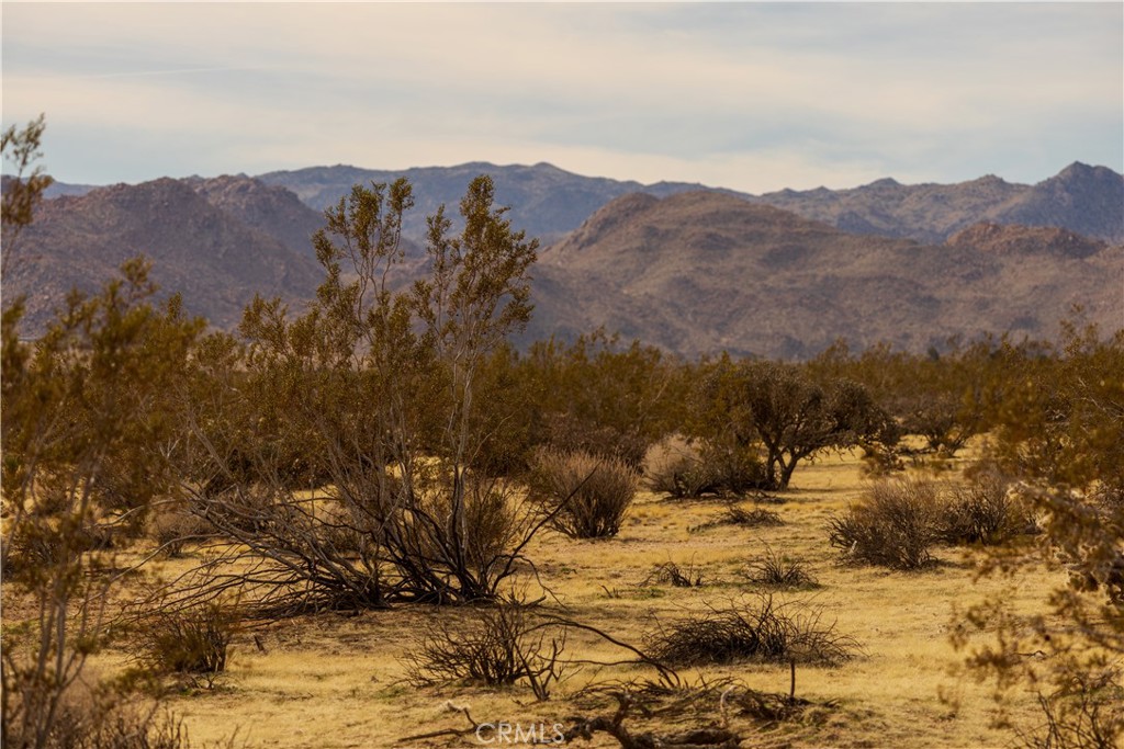 0 Appian Way Joshua Tree, CA 92252 - Photo 7 of 35