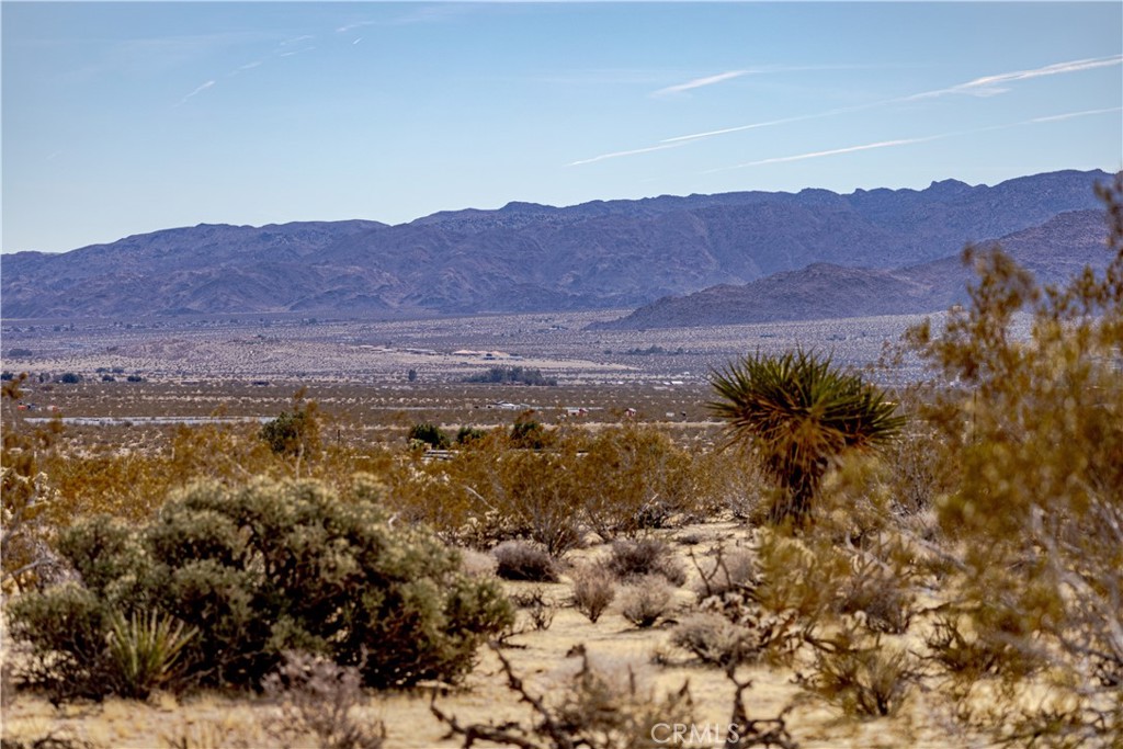 0 Appian Way Joshua Tree, CA 92252 - Photo 8 of 35