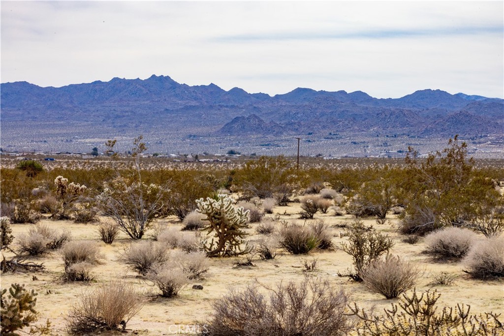 0 Appian Way Joshua Tree, CA 92252 - Photo 10 of 35