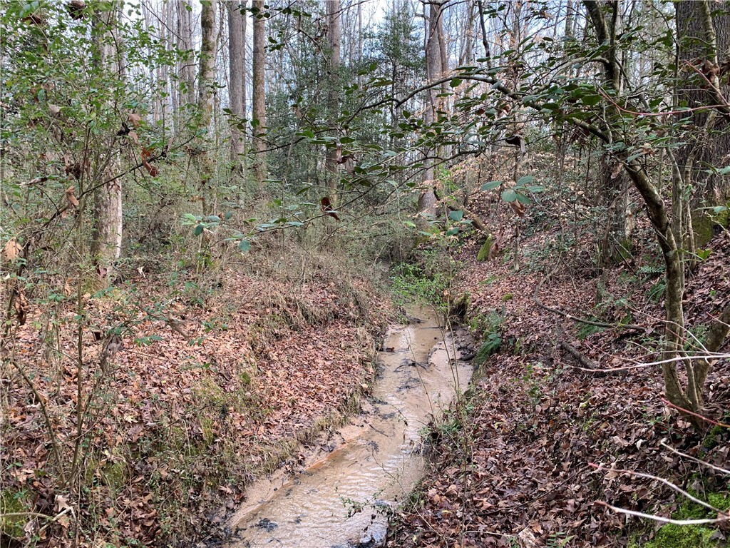 963 Winding Creek Road Liberty, SC 29657 - Photo 20 of 25 Gallery Image 20