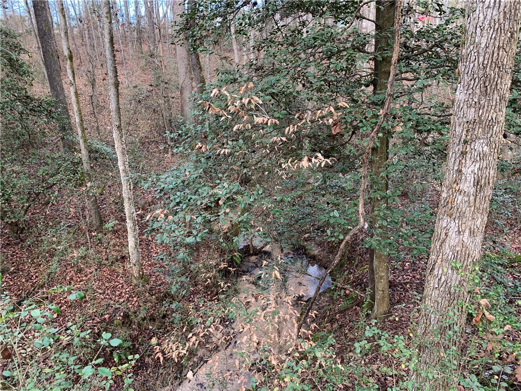 963 Winding Creek Road Liberty, SC 29657 - Photo 24 of 25 Gallery Image 24