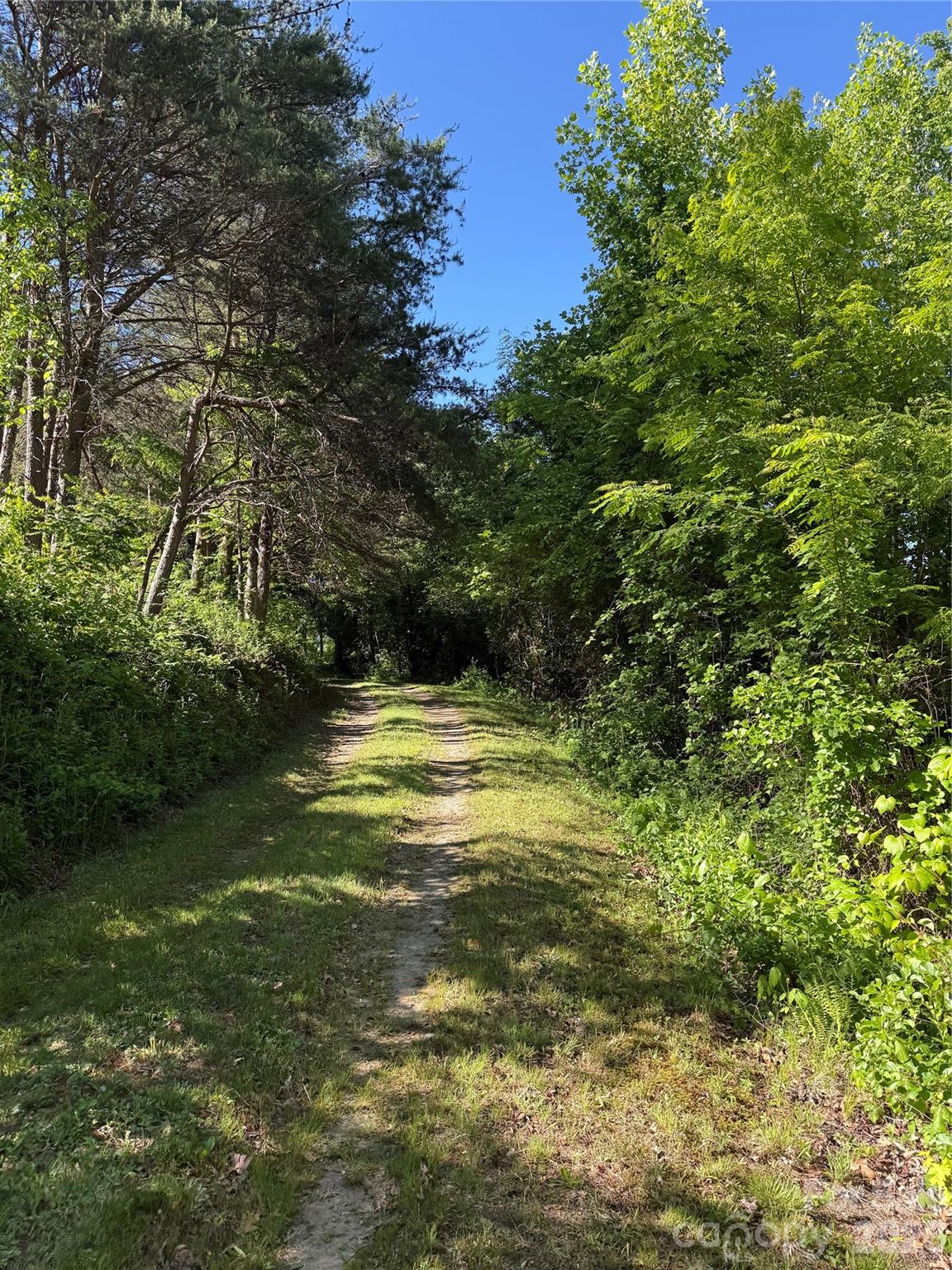 9999 Hunters Ridge Road Canton, NC 28716 - Photo 18 of 19