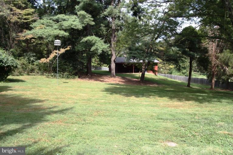 Back yard