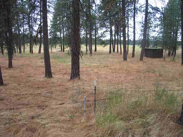 16724 South Sherman Road Cheney, WA 99004 - Photo 3 of 9