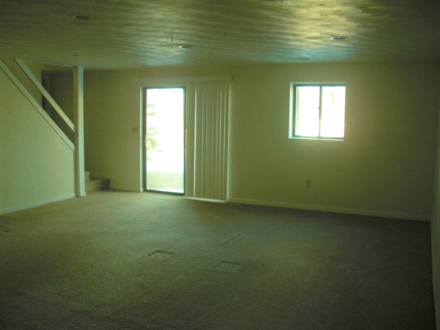 516 Ruddell Road Vinton, VA 24179 - Photo 8 of 11 Basement Room 1