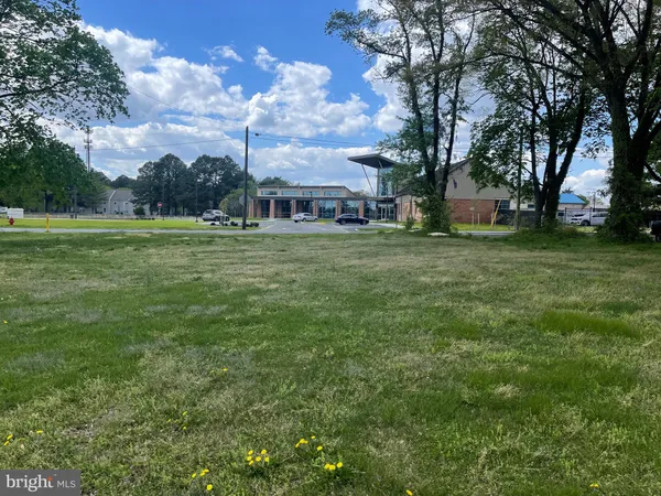 a view of a big yard with a house in the background