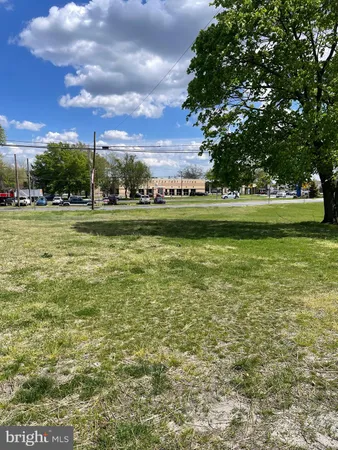 a view of a park with lots of trees and plants