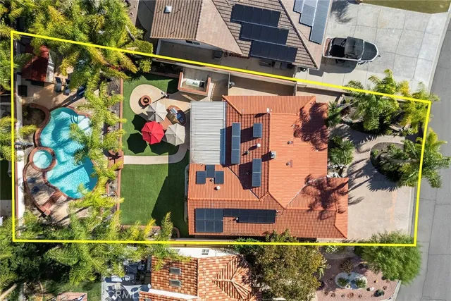 a view of a park with palm trees