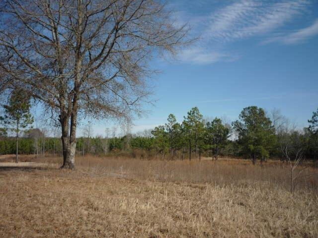 494 Maple Hole Road Garfield, GA 30425 - Photo 1 of 1 Gallery Image 1