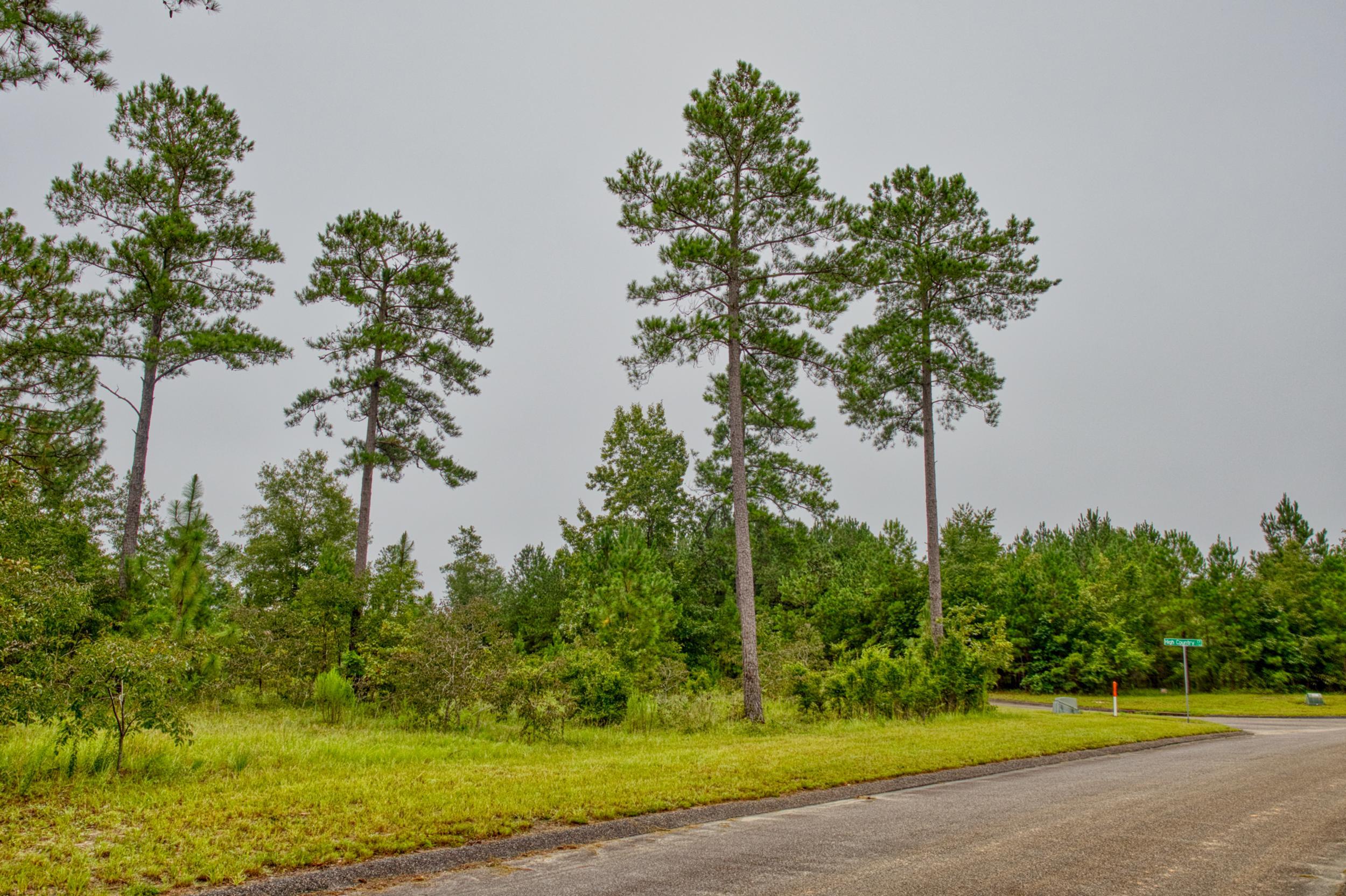 Lot 5 Cooks Pond Road Windsor, SC 29856 - Photo 21 of 23