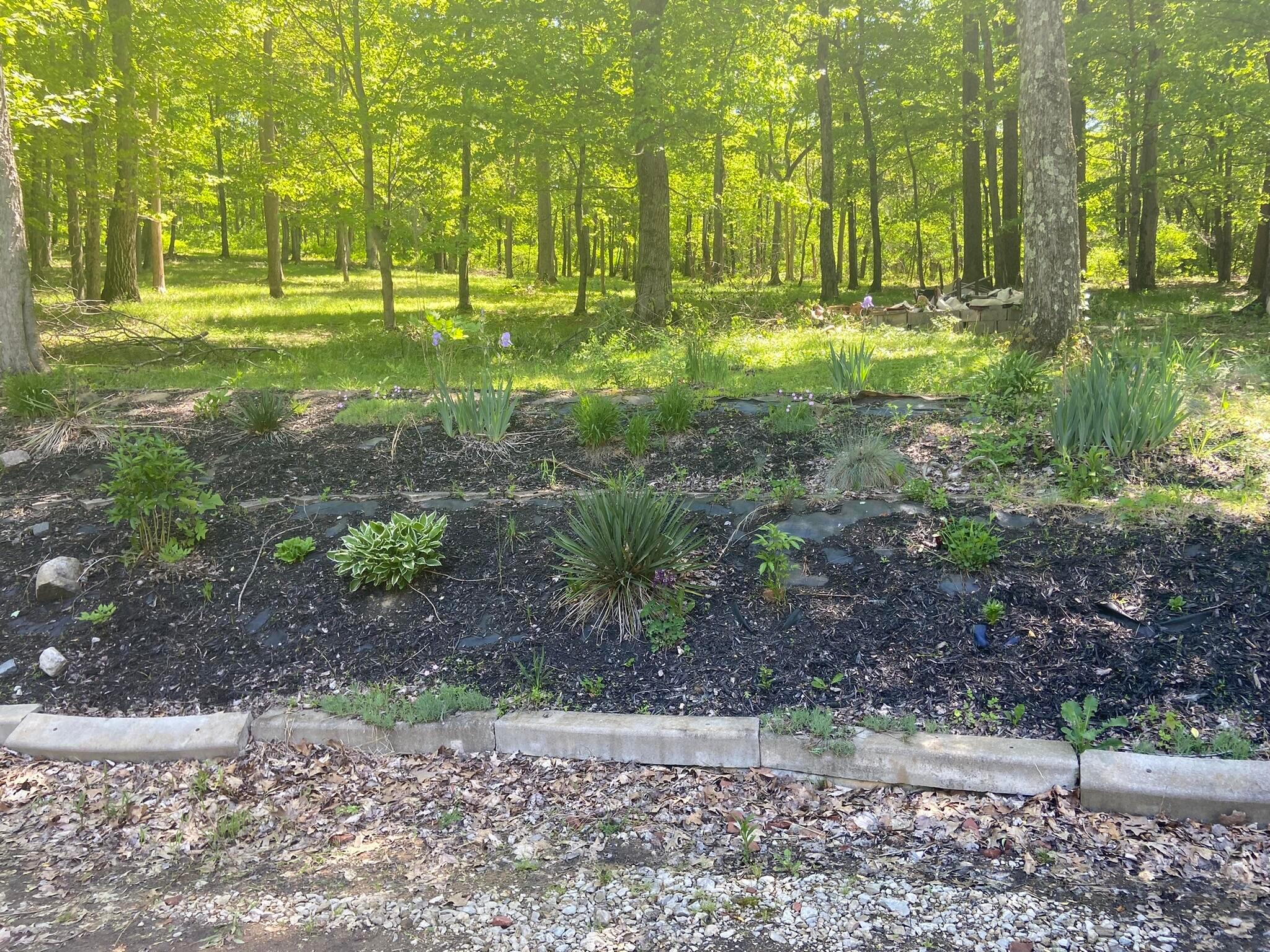 3239 Gratiot Road Southeast Heath, OH 43056 - Photo 39 of 46 IMG_0961