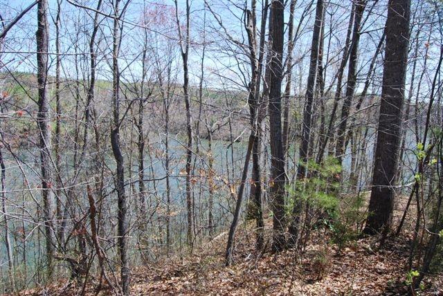 Lot 3 Hardy Road Hardy, VA 24101 - Photo 1 of 2 Over 5 acres with 700 feet of shoreline
