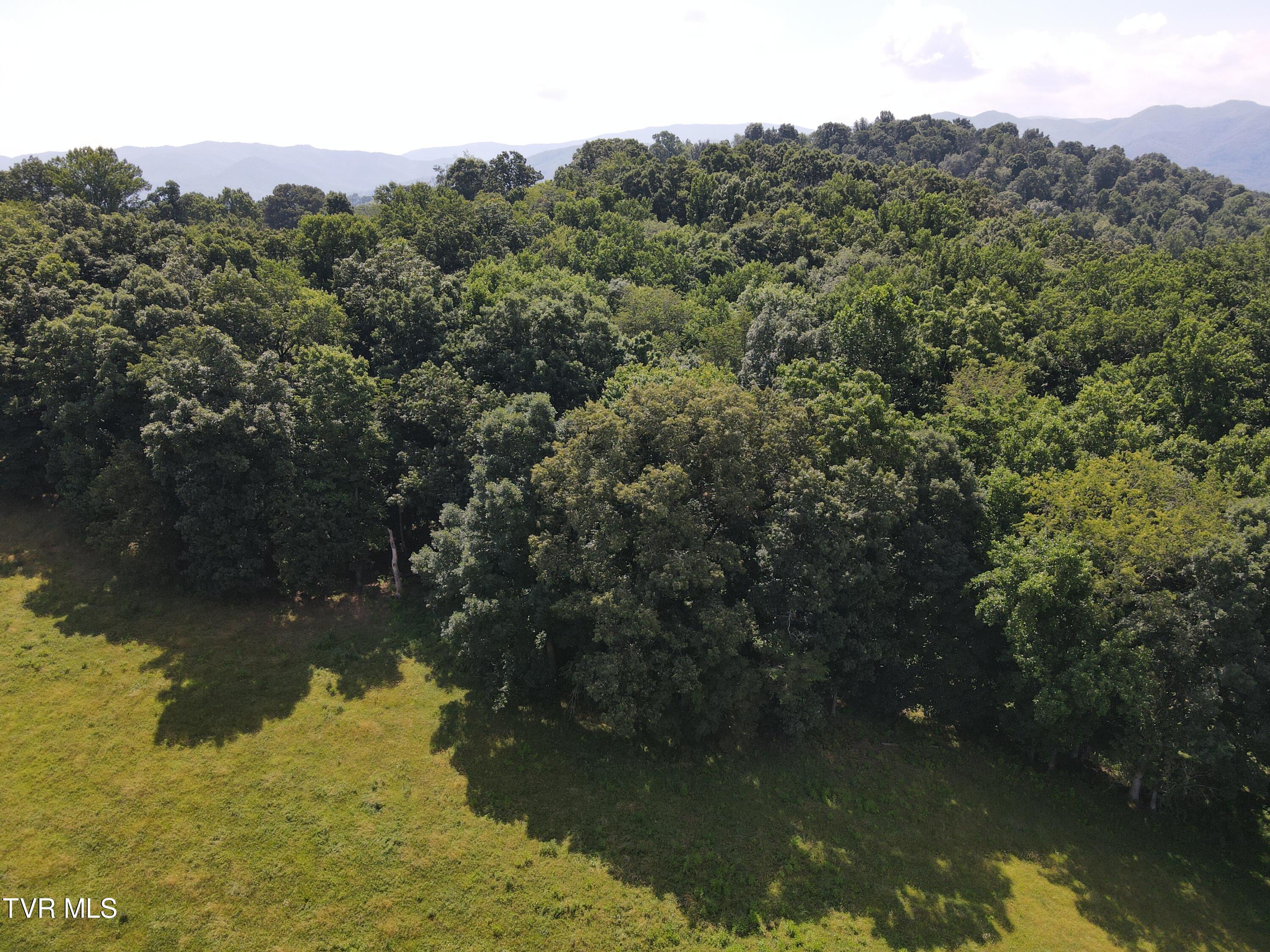 Tbd J D Fox Road, Unit 8 Limestone, TN 37681 - Photo 3 of 4 DJI_0998 - Copy