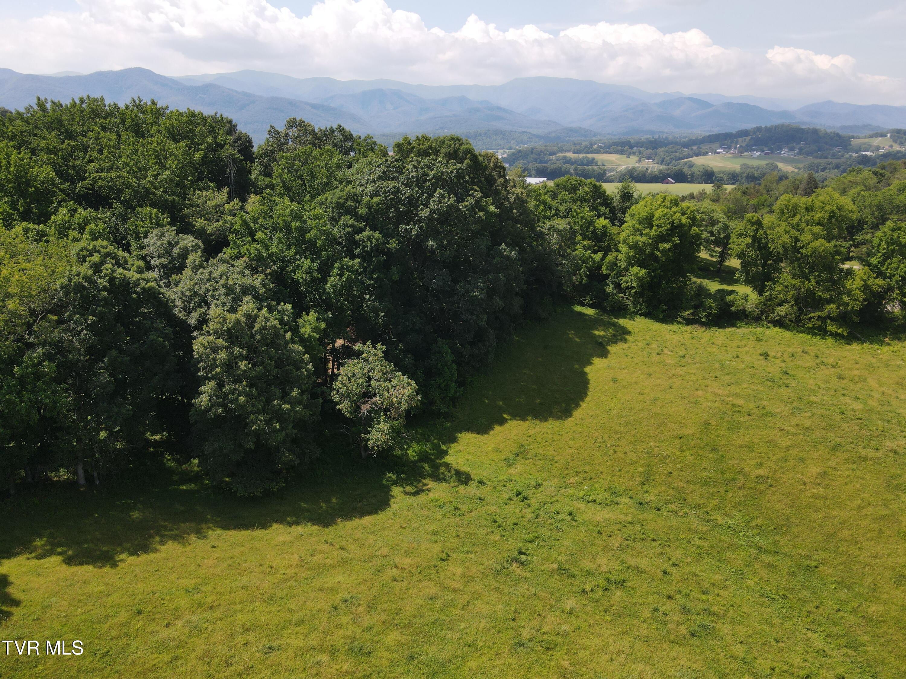 Tbd J D Fox Road, Unit 8 Limestone, TN 37681 - Photo 4 of 4 DJI_0999 - Copy