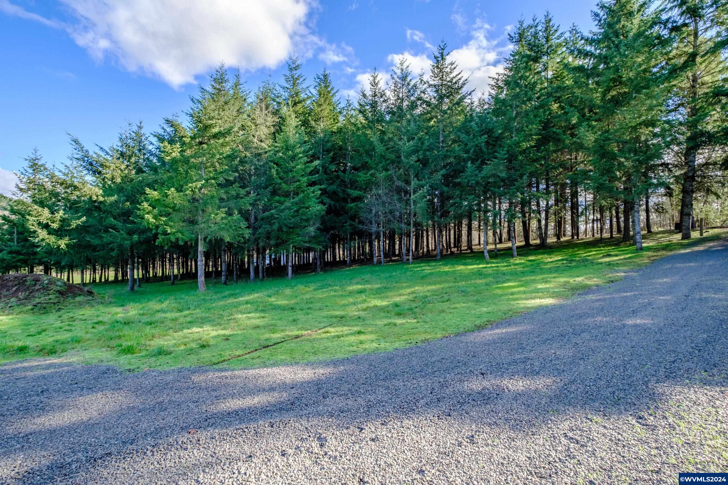 Buck Hill Lane Lebanon, OR 97355 - Photo 24 of 31