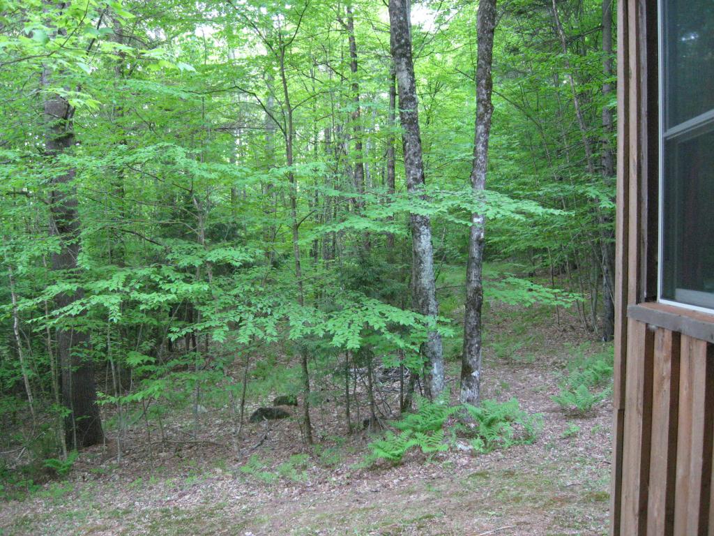 13 Parker Hill Road Cavendish, VT 05142 - Photo 13 of 21