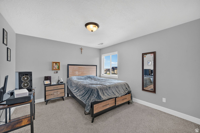 3644 Spiral Springs Road Tooele, UT 84074 - Photo 17 of 41 Second bedroom