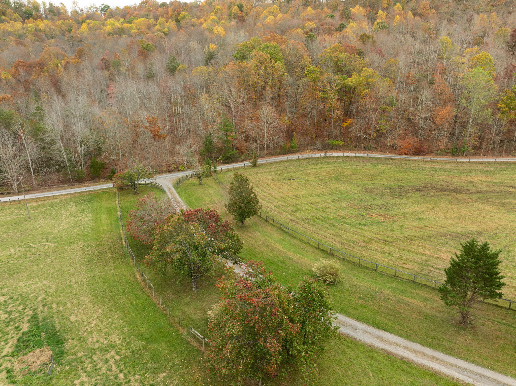 2580 Minor Branch Road Gravel Switch, KY 40328 - Photo 39 of 61 40-web-or-mls-DJI_0833