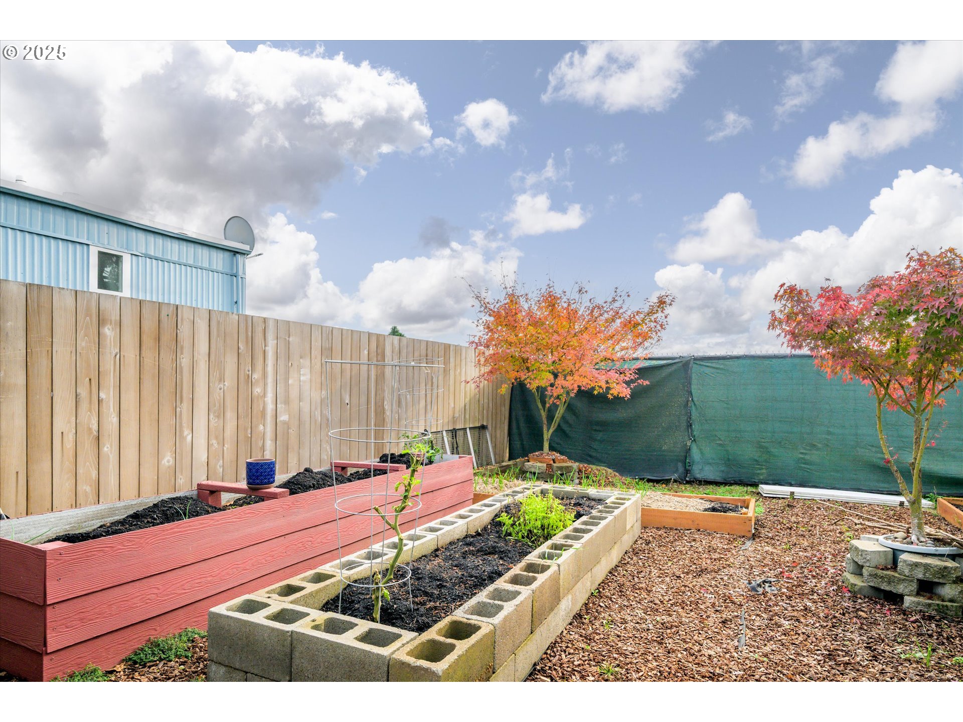 2150 Laura Street, Unit 111 Springfield, OR 97477 - Photo 27 of 30 a view of a backyard