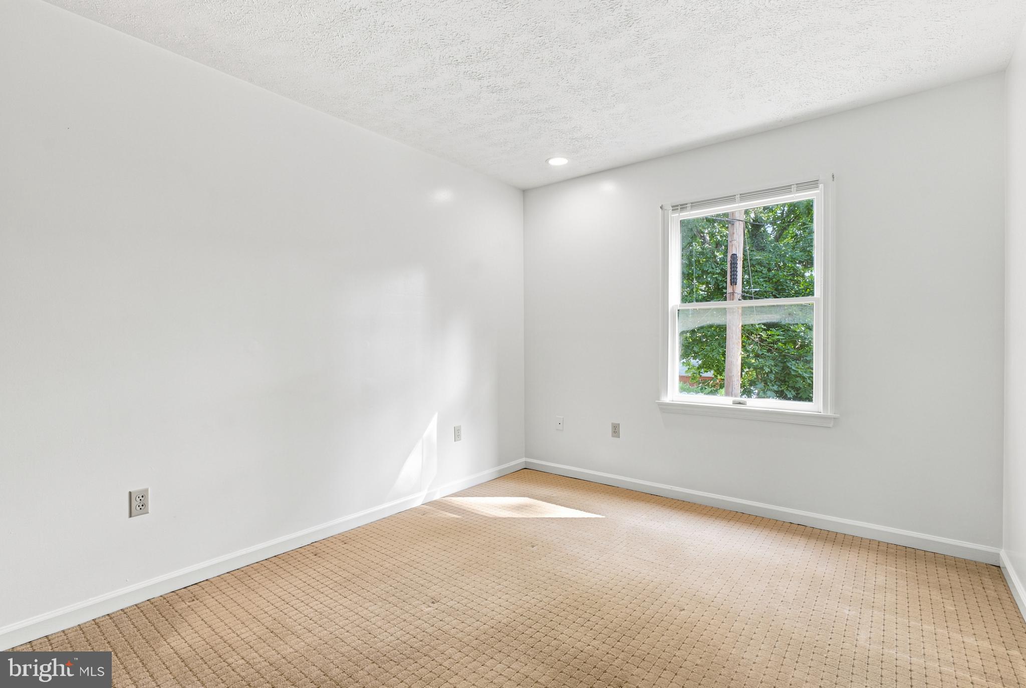 820 Locust Street, Unit 3 Stephens City, VA 22655 - Photo 16 of 19