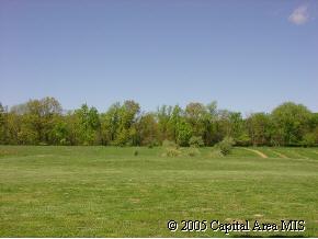 5109 Smith Road Pleasant Plains, IL 62677 - Photo 7 of 7 Gallery Image 7