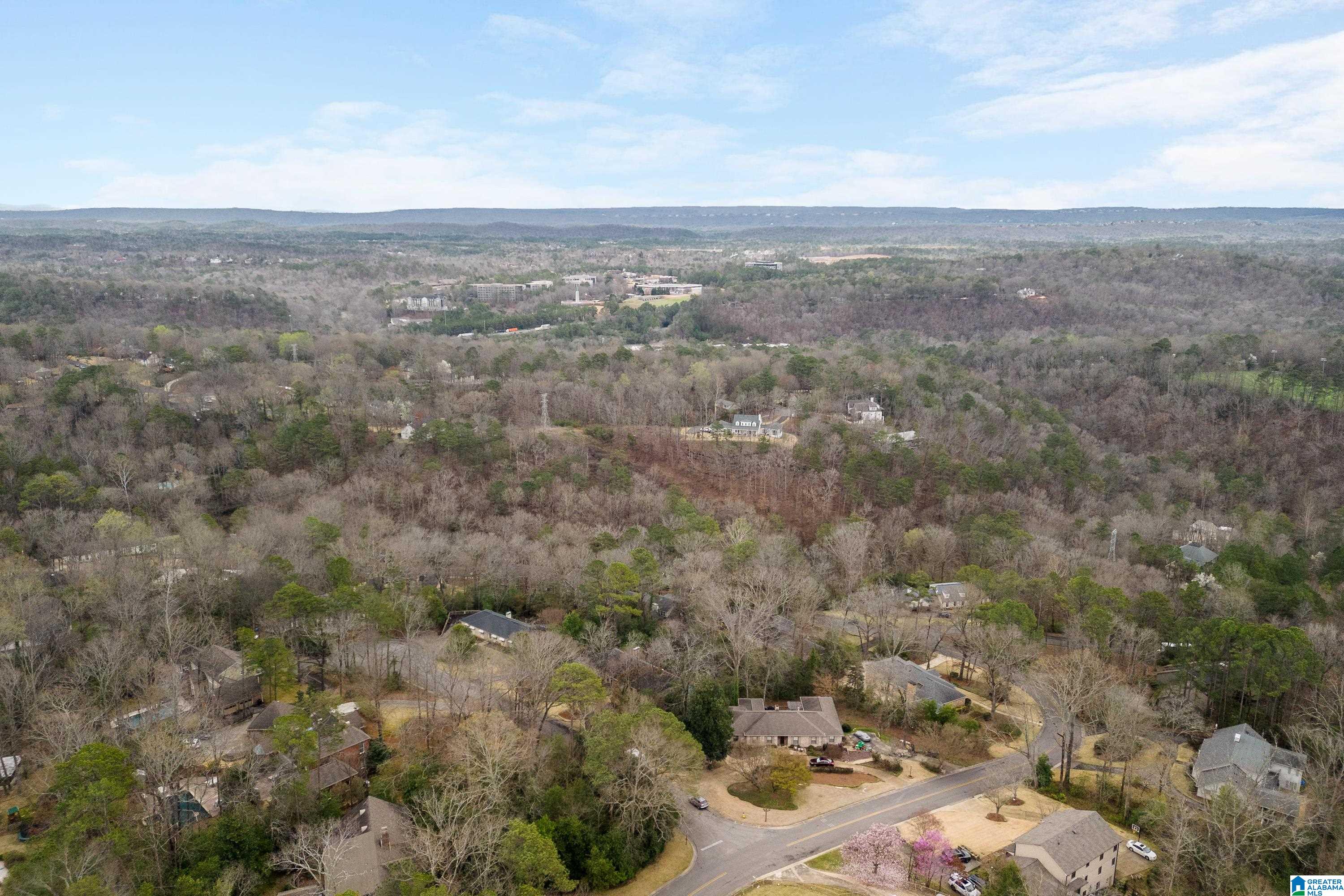 3540 Spring Valley Court Birmingham, AL 35223 - Photo 63 of 65
