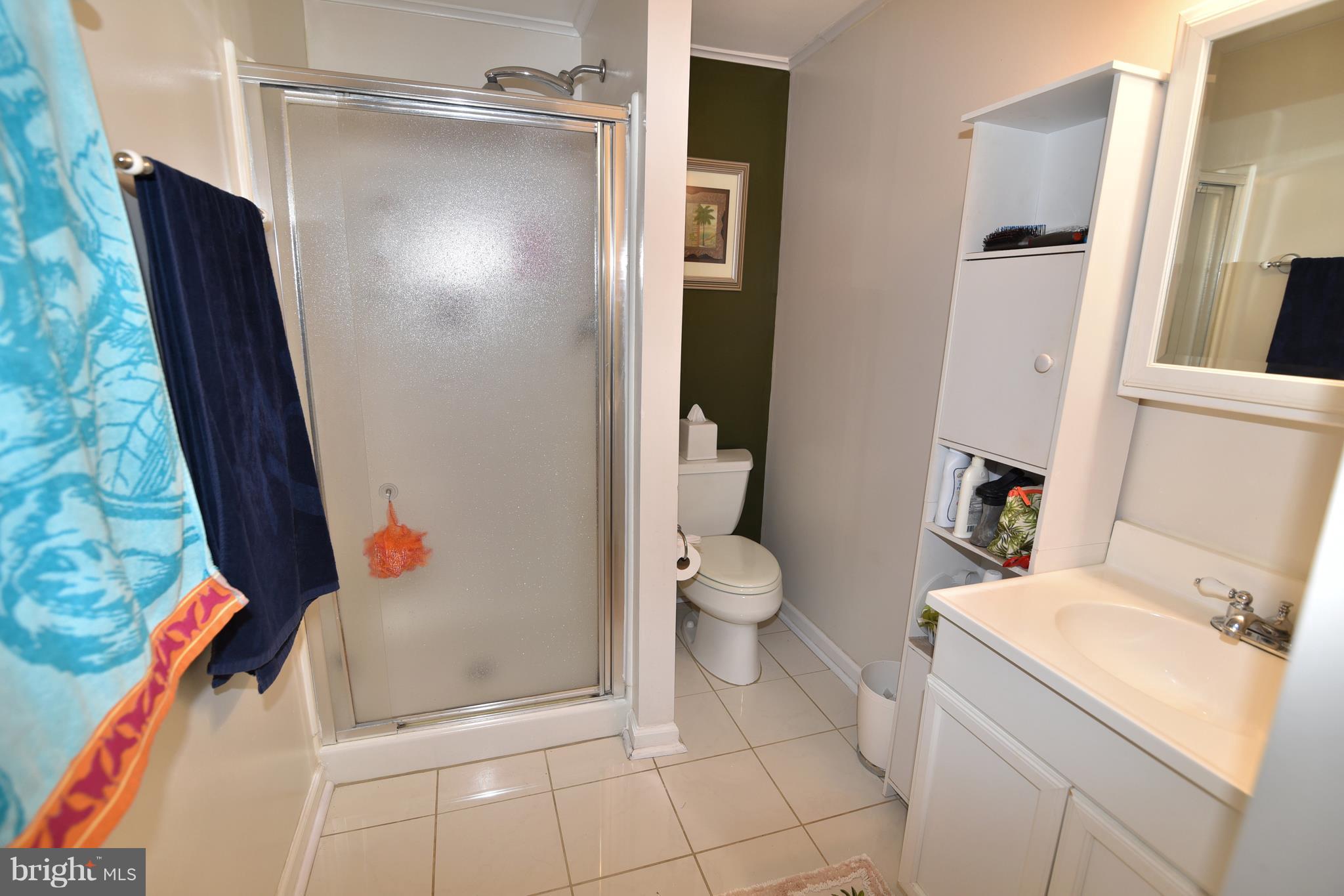 100 Monoponsan Road Stevensville, MD 21666 - Photo 8 of 22 Bath (Master)
