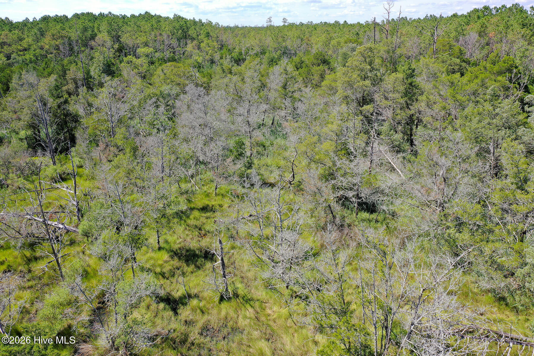 4.57-acres Meekins Road Bayboro, NC 28515 - Photo 10 of 17