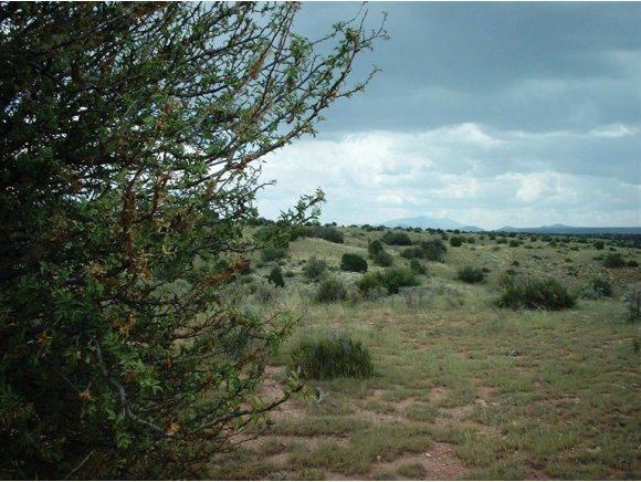 7925 Sharp Knife Road Williams, AZ 86046 - Photo 4 of 5 Additional Photo