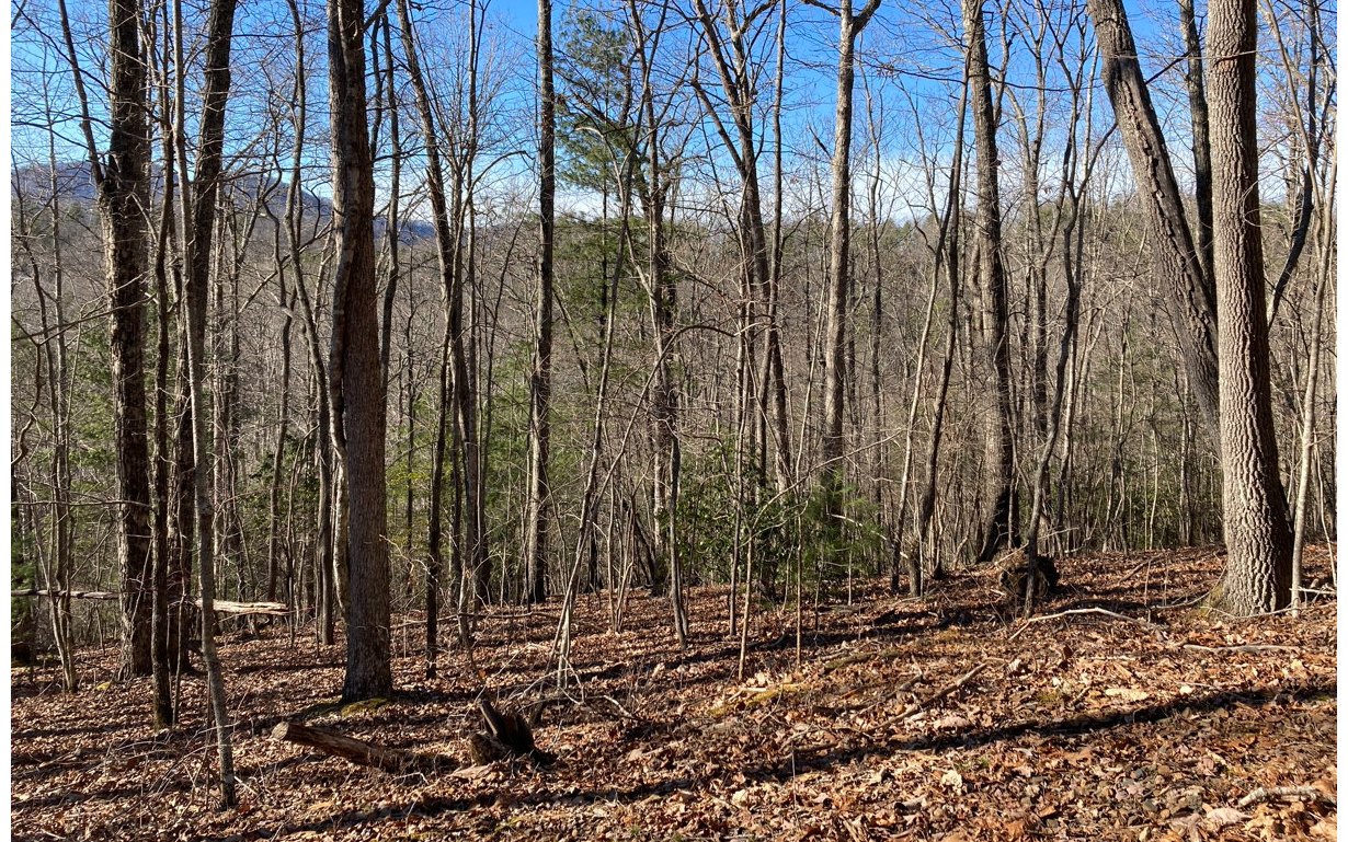 31 High Ridge Road Murphy, NC 28906 - Photo 2 of 4 Additional View
