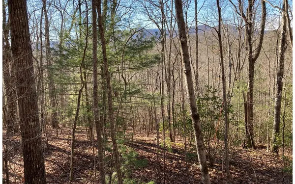 $11,800 | 31 High Ridge Road, Murphy, NC 28906