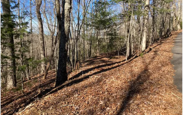 $11,800 | 31 High Ridge Road, Murphy, NC 28906