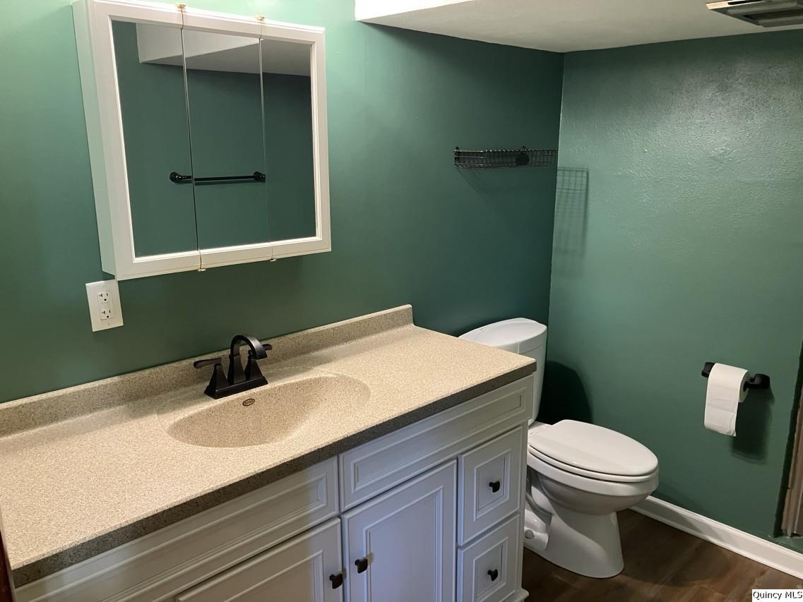 328 North Illinois Street Camp Point, IL 62320 - Photo 10 of 22 a bathroom with a sink a toilet and mirror