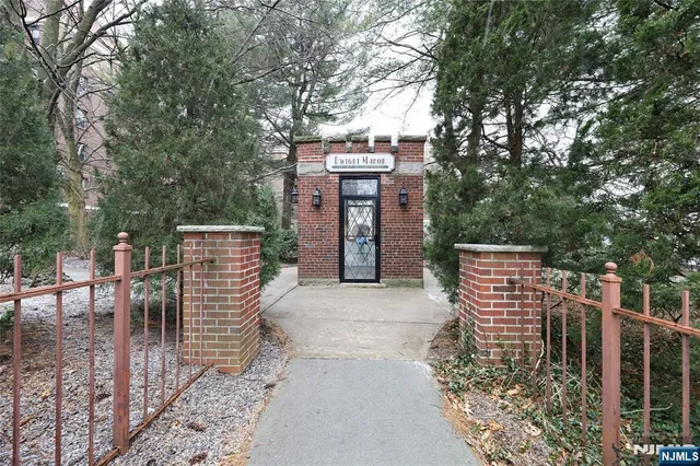 a view of a yard with plants and large trees