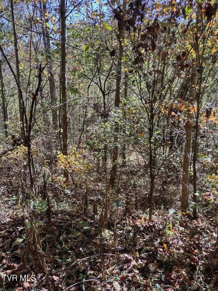 Tbd North Fork River Road, Unit 3 Abingdon, VA 24210 - Photo 11 of 34 *