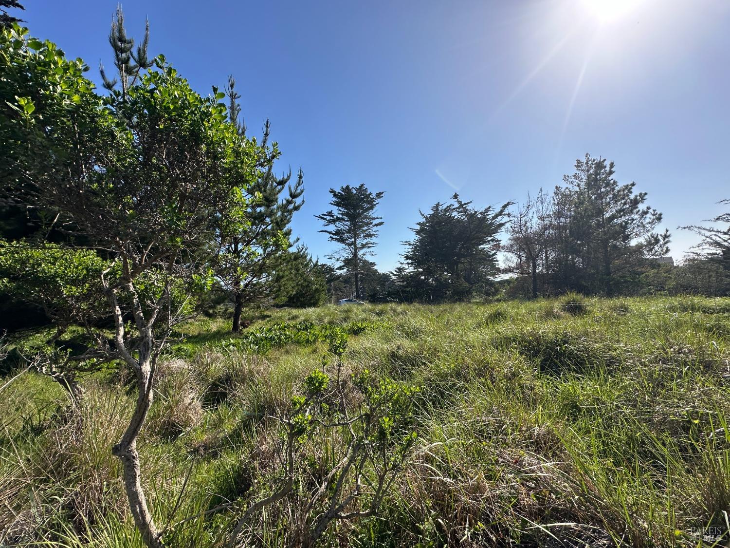 135 Shepherds Close The Sea Ranch, CA 95497 - Photo 11 of 30 a yard with swimming pool and green space